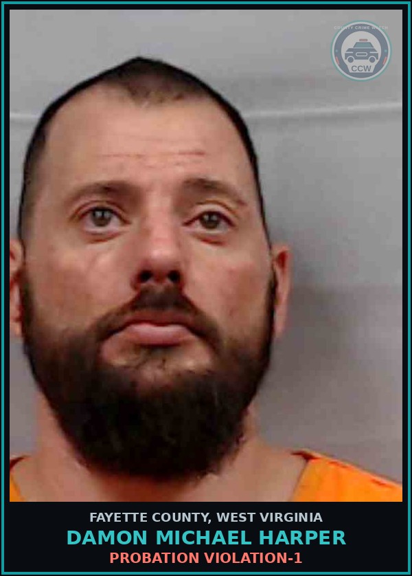 Booking mugshot of Damon Michael Harper in Fayette County