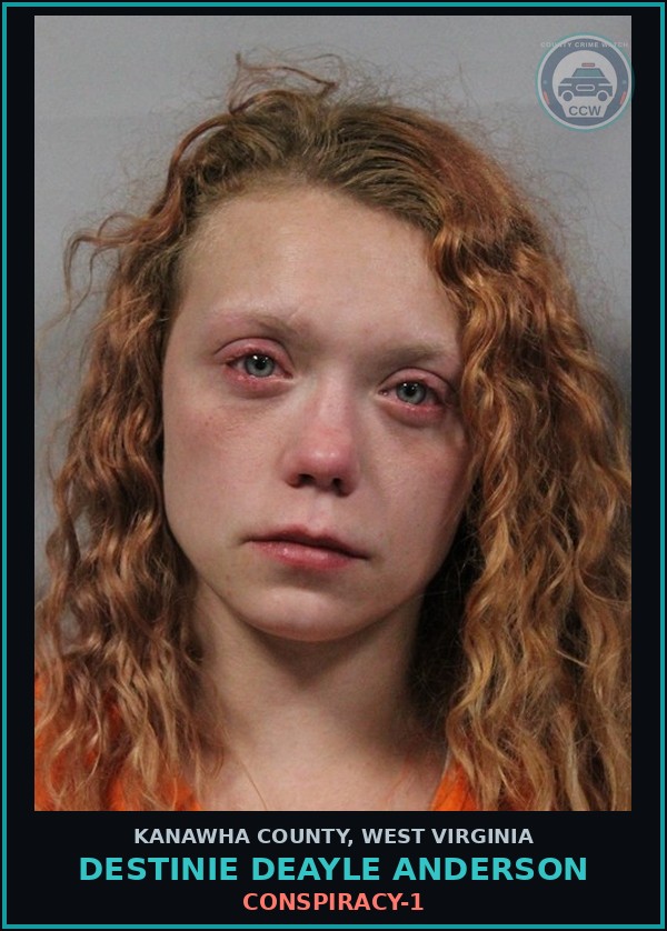 Booking mugshot of Destinie Deayle Anderson in Kanawha County