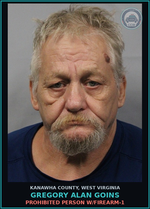 Booking mugshot of Gregory Alan Goins in Kanawha County
