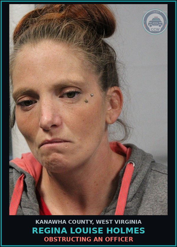Booking mugshot of Regina Louise Holmes in Kanawha County