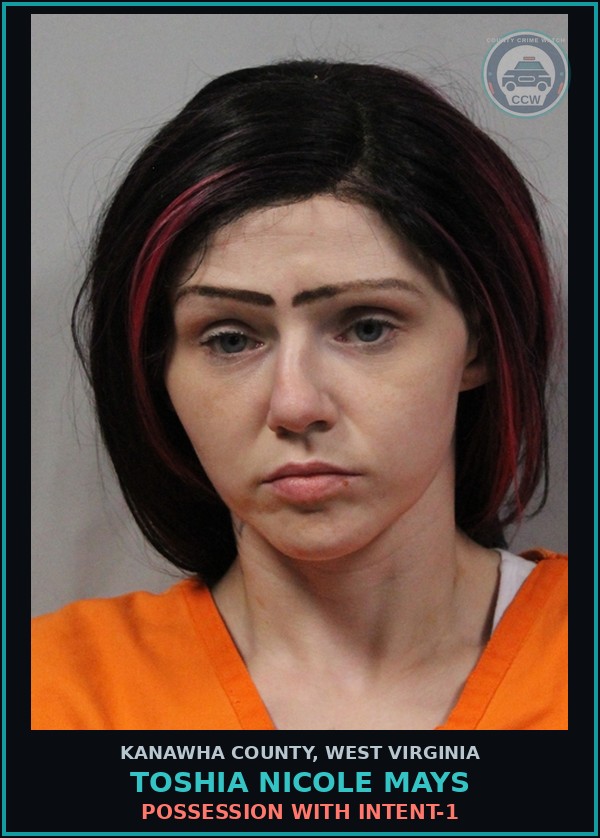 Booking mugshot of Toshia Nicole Mays in Kanawha County