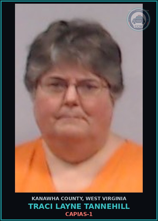 Booking mugshot of TRACI LAYNE TANNEHILL in Kanawha County