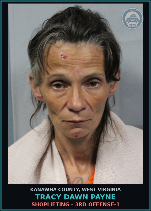 Booking mugshot of Tracy Dawn Payne in Kanawha County