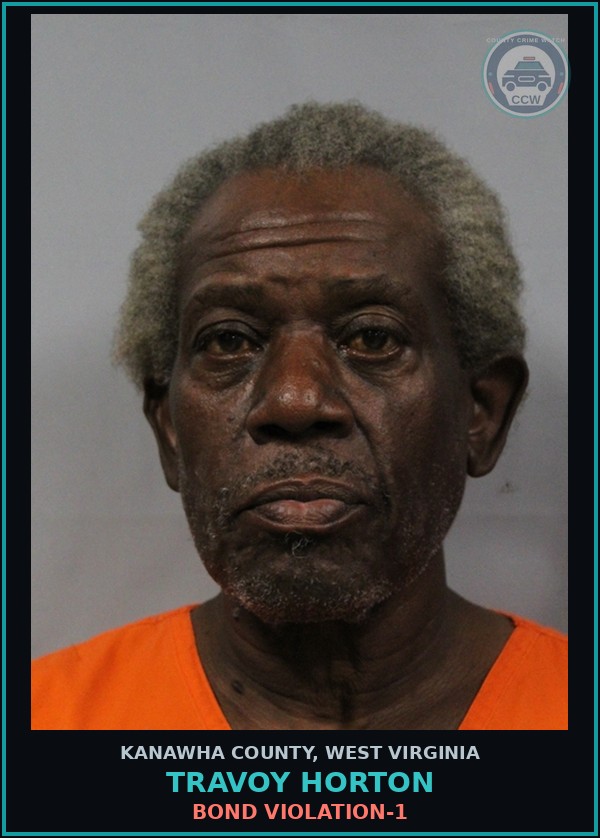 Booking mugshot of Travoy Horton in Kanawha County