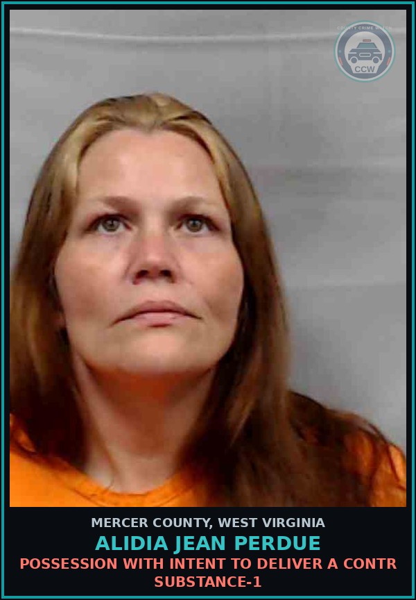Booking mugshot of Alidia Jean Perdue in Mercer County
