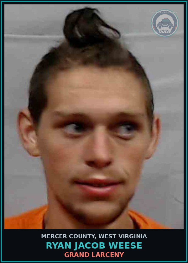Booking mugshot of Ryan Jacob Weese in Mercer County