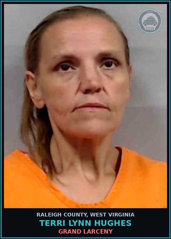 Booking mugshot of Terri Lynn Hughes in Raleigh County