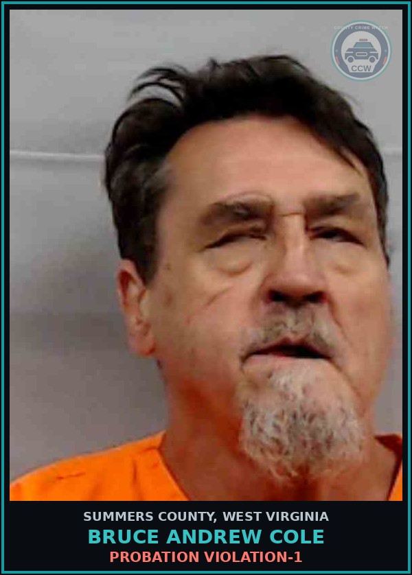 Booking mugshot of Bruce Andrew Cole in Summers County