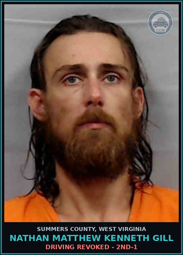 Booking mugshot of Nathan Matthew Kenneth Gill in Summers County