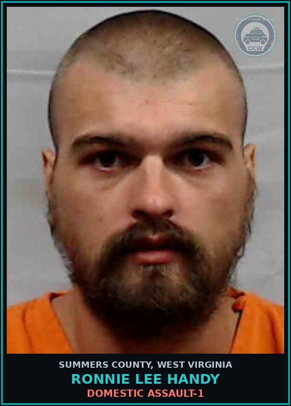 Booking mugshot of Ronnie Lee Handy in Summers County