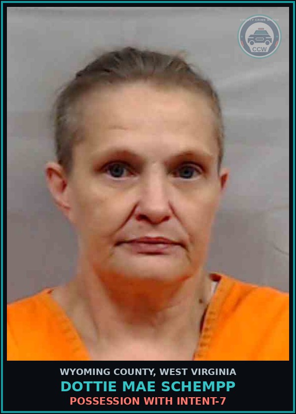 Booking mugshot of Dottie Mae Schempp in Wyoming County