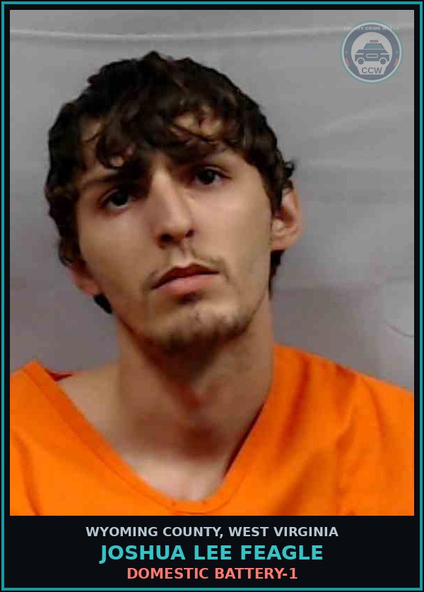 Booking mugshot of Joshua Lee Feagle in Wyoming County