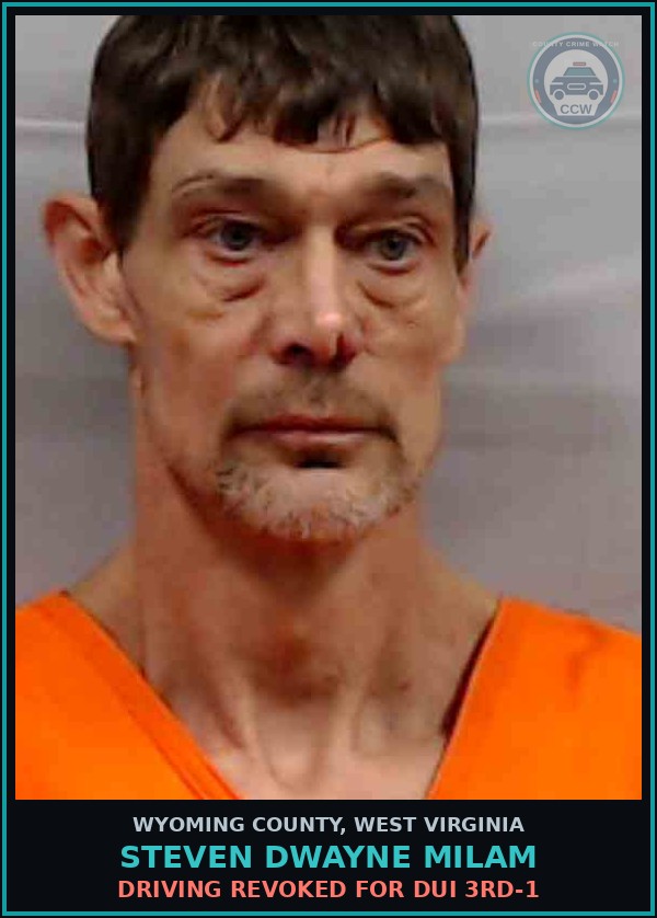 Booking mugshot of Steven Dwayne Milam in Wyoming County