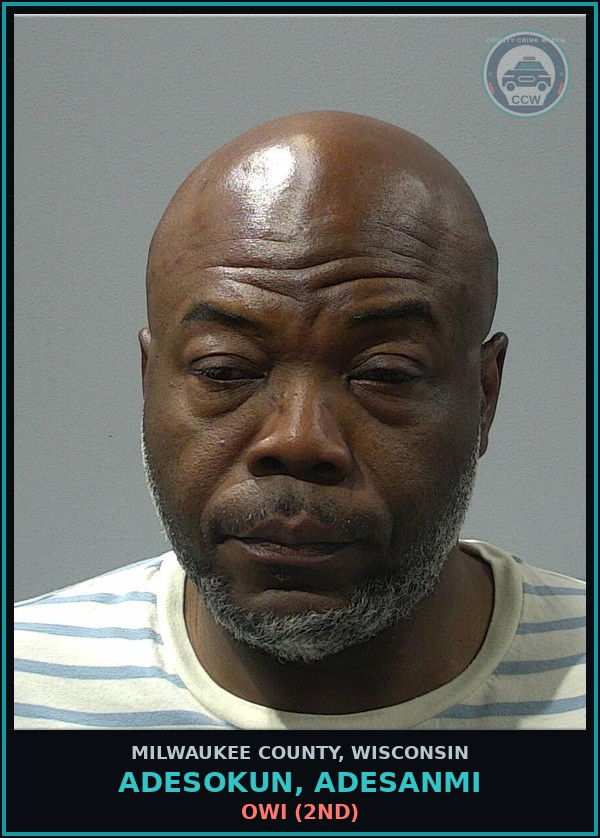 Booking mugshot of Adesokun, Adesanmi in Milwaukee County