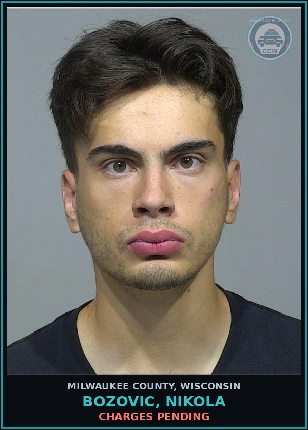 Booking mugshot of Bozovic, Nikola in Milwaukee County