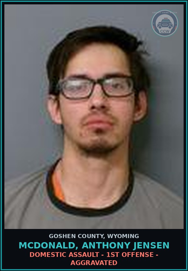 Booking mugshot of Mcdonald, Anthony Jensen in Goshen County