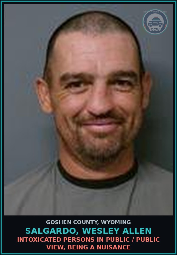 Booking mugshot of Salgardo, Wesley Allen in Goshen County