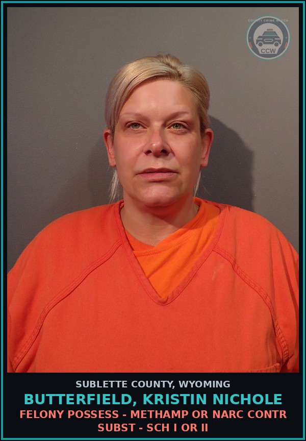 Booking mugshot of Butterfield, Kristin Nichole in Sublette County