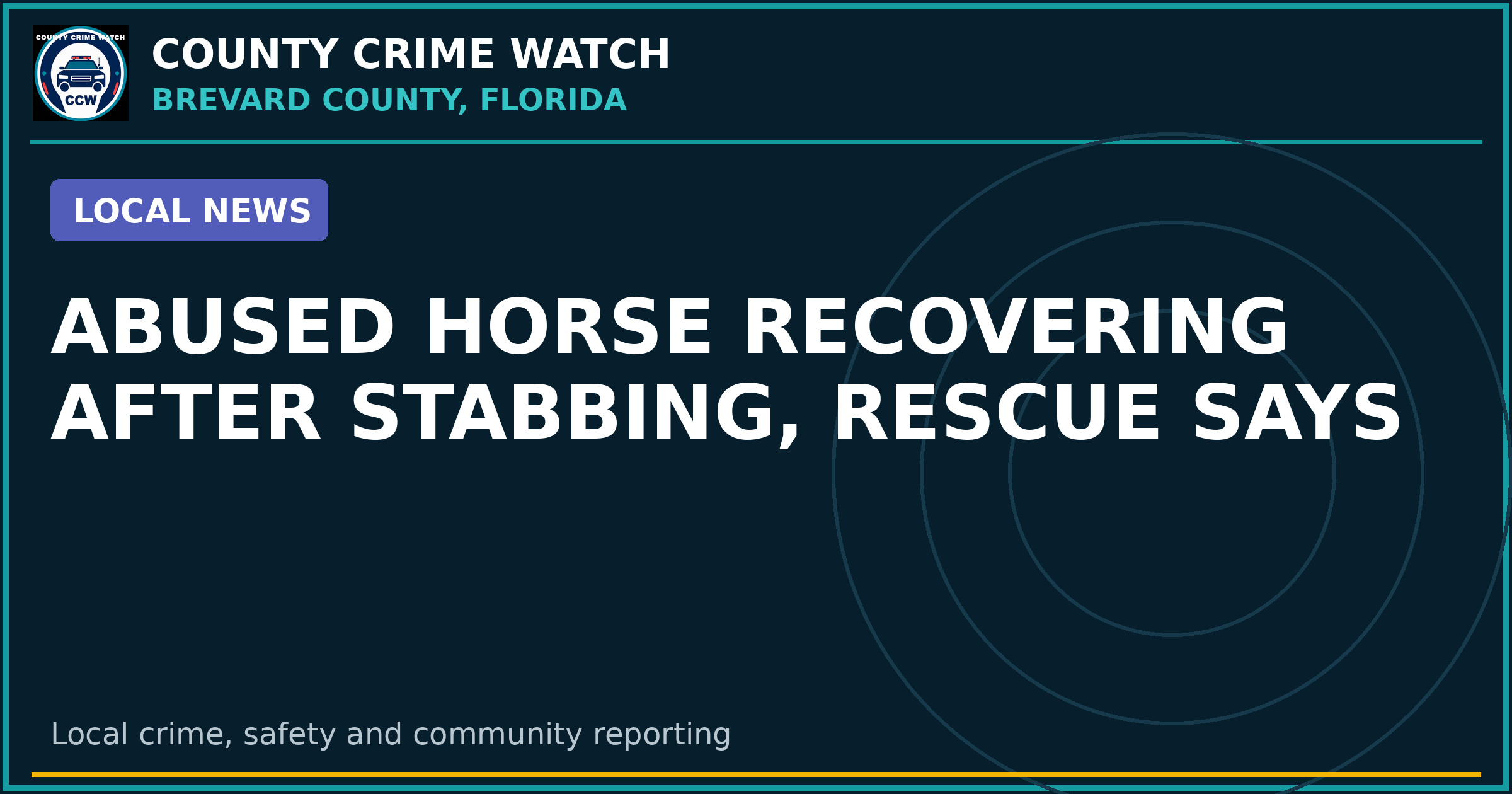 Abused horse recovering after stabbing, rescue says