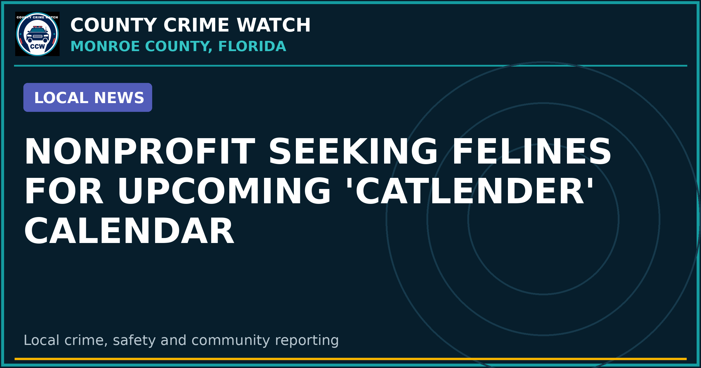 Nonprofit Seeking Felines for Upcoming 'Catlender' Calendar